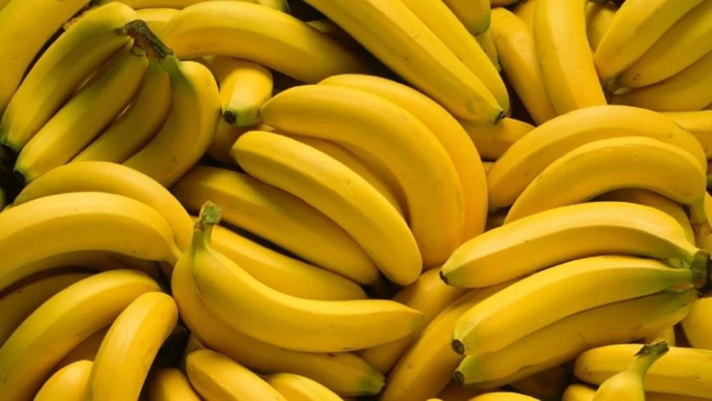ماسک موز