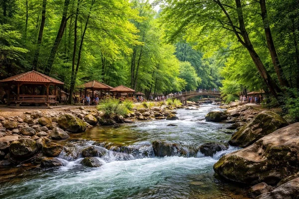 پارک جنگلی فین چالوس