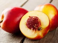 شلیل: خواص، مضرات و طبع میوه تابستانی