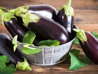 بادمجان: از خواص شگفت انگیز تا مضرات احتمالی
