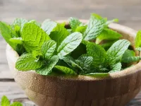 خواص و مضرات نعناع: از تسکین سردرد تا تداخل دارویی