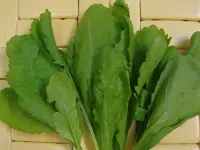خواص درمانی سبزی شاهی و هشدارهای مصرف آن