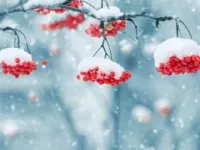 شعر زیبای زمستون از جعفر ابراهیمی برای کودکان
