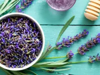 خواص و کاربردهای اسطوخودوس فرانسوی از دمنوش تا آشپزی