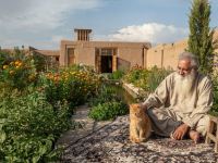 حکایت گربه و زال؛ درس قناعت از بوستان سعدی