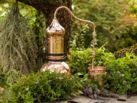 چگونه عرقیات گیاهی را در خانه تولید کنیم؟ درآمدزایی آسان!