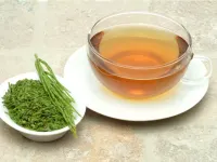 دمنوش دم اسبی برای چی خوبه؛ ۷ فایده چای دم اسب!