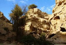 تنگه عالی محمد؛ شاهکار پنهان طبیعت در قلب خلیج فارس