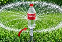 نحوه ساخت آبپاش برای آبیاری درختان و گل ها فقط با بطری پلاستیکی