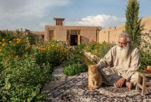 حکایت گربه و زال؛ درس قناعت از بوستان سعدی