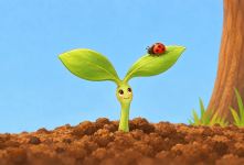 قصه کوتاه تصویری دانه کوچک و آرزوی درخت شدن برای کودکان