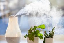 بهترین دستگاه بخور سرد برای گیاهان؛ معرفی مناسب ترین مدل ها و نکات خرید