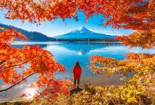 راهکارهای طلایی استفاده از فصل پاییز برای خودشناسی و رشد شخصیت