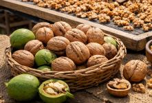 روش خشک کردن گردو تازه؛ چگونه گردو را بدون کپک خشک کنیم؟
