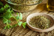 همه چیز درباره ادویه اورگانو؛ پودر اورگانو در چه غذاهایی استفاده می شود؟