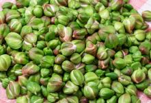 طرز تهیه خوراک گل کبر قزوین؛ غذای محلی الموت با طعمی متفاوت و خواص فراوان
