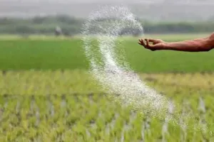 راهنمای خرید کود شیمیایی در بازار آزاد