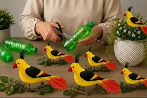ایده خلاقانه تبدیل بطری پلاستیکی به پرنده تزئینی