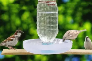 آموزش ساخت آبخوری پرنده با بطری پلاستیکی خانگی