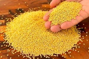 معجزه ارزن برای پاکسازی کبد، کلیه، قند خون و سم زدایی بدن