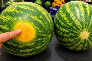 ۵ نشانه طلایی برای انتخاب هندوانه شیرین و رسیده
