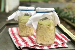 طرز تهیه ساورکرات (کلم ترش تخمیری) در خانه