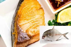 ۴ روش برتر برای پخت ماهی گیش
