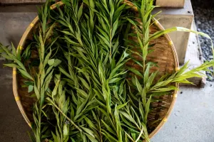 طرز تهیه سرکه ترخون خانگی و خواص شگفت انگیز آن