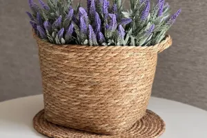 اسطوخودوس فرانسوی گیاهی مقاوم با گل های معطر و خواص دارویی