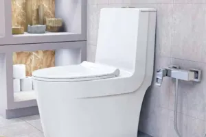 ۵ صدای بامزه و شنیدنی از سیفون توالت فرنگی !
