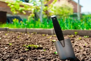 اگه دنبال صدای بیلچه با کیفیت بالا هستی، به ما سر بزن !