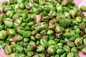 طرز تهیه خوراک گل کبر قزوین؛ غذای محلی الموت با طعمی متفاوت و خواص فراوان