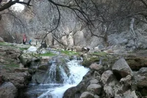 با جاذبه های دیدنی نی ریز فارس آشنا شوید !