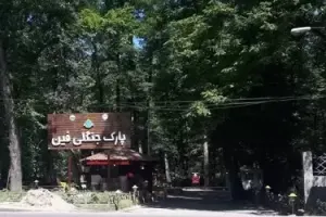 معرفی کامل پارک جنگلی فین چالوس، جاذبه ای دیدنی در مازندران !
