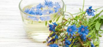 فواید عرق پاپارا برای کبد و گوارش را بشناسید
