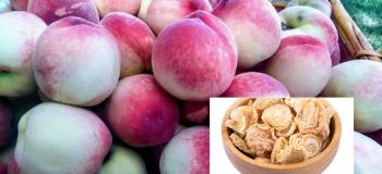 برگه شفتالو؛ گنجینه ای از خواص بی نظیر برای سلامت بدن