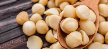 ماکادمیا خام بهتر است یا بوداده؟ بررسی کامل خواص، طعم و ارزش غذایی