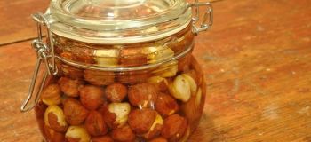 طرز تهیه ترشی فندق شمالی؛ راز خوش عطری برای سفره پاییزی