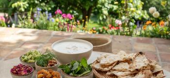 طرز تهیه آبدوغ خیار سنتی با ماست و کشمش / غذای خنک و تابستانی