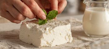طرز تهیه پنیر خانگی سنتی؛ طعمی بی نظیر، کاملاً اقتصادی و بدون مواد نگهدارنده