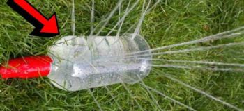 آبیاری ساده باغ و باغچه با بطری پلاستیکی در ۵ دقیقه