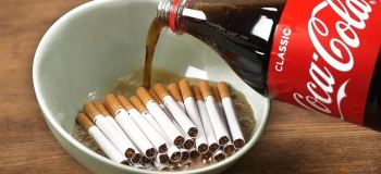 آموزش ساخت محلول دفع حشرات و پاک کننده خانگی با نوشابه سیگار