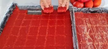 ترفند انجماد رب گوجه فرنگی برای پخت سریع غذا