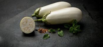 بادمجان سفید برای لاغری: معجزه ای پنهان برای کاهش وزن سریع و روش مصرف آن