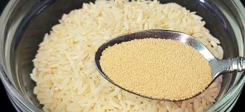 مخمر + برنج ؛ دستور پخت نان برنجی سریع و راحت