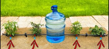 آموزش ساخت سیستم آبیاری قطره ای خانگی با دبه های پلاستیکی