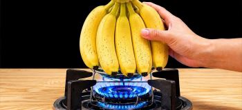 موز را کباب کنید ؛ روشی سریع برای تهیه دسر فوری و کود طبیعی