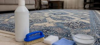 بهترین شامپو فرش برای فرش ماشینی؛ راهنمای انتخاب و استفاده صحیح