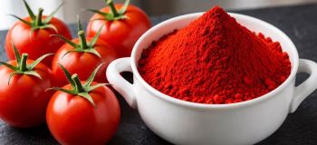 طرز تهیه پودر گوجه فرنگی قرمز و خوشزنگ/ تا سالها پودر گوجه طبیعی نگهدارید
