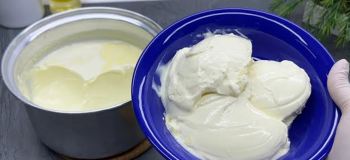 طرز تهیه ماست سفت با شیر خشک؛ راز بافت غلیظ و پرچرب خانگی